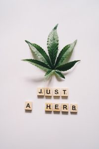 Why are there so many myths about CBD? It is just a herb.